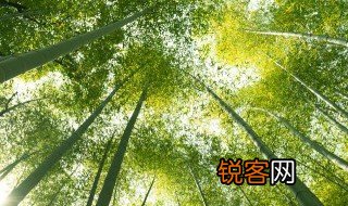 竹石古诗 竹石原文及解析