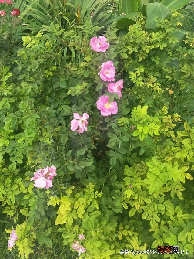 山东淄博人的酒桌礼仪有哪些？