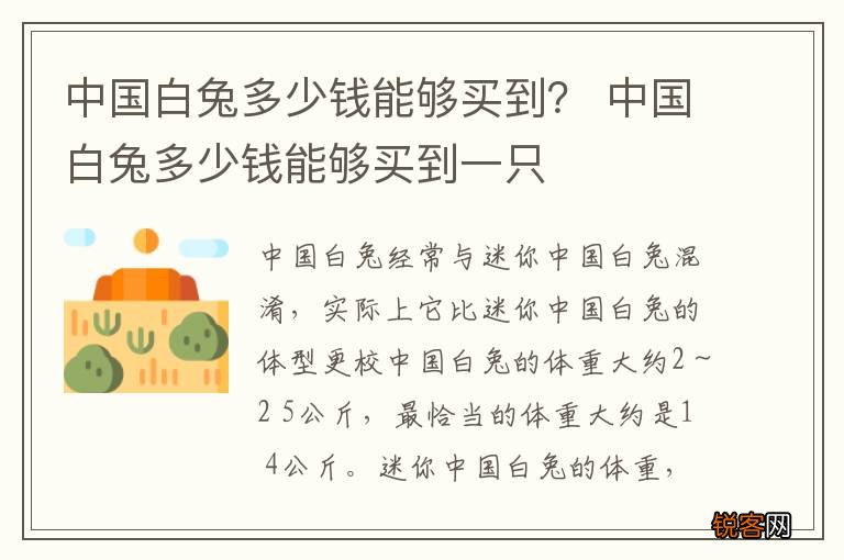 中国白兔多少钱能够买到？ 中国白兔多少钱能够买到一只