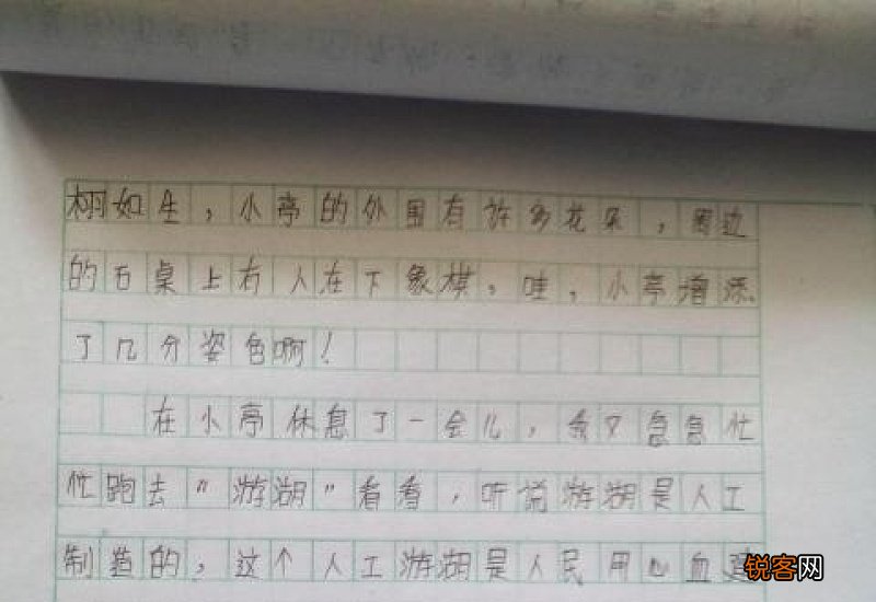 美丽的星空小学一年级作文