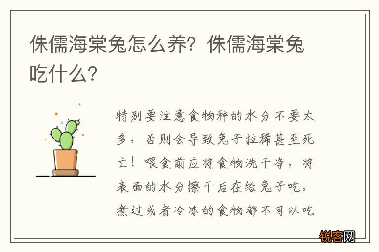 侏儒海棠兔怎么养？侏儒海棠兔吃什么？