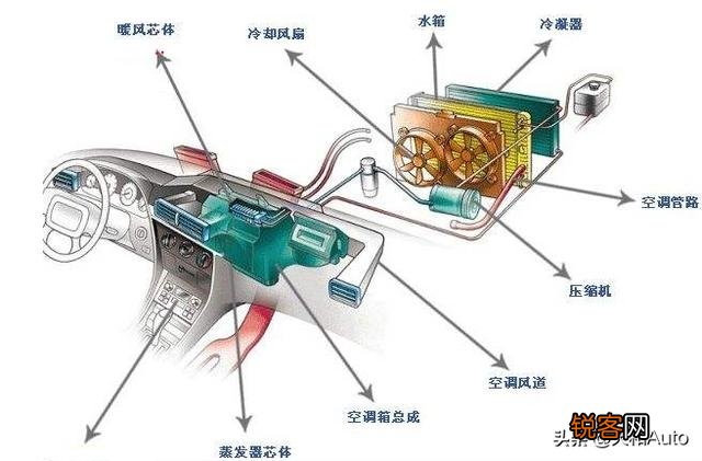哪些车有空气净化器和消毒功能？