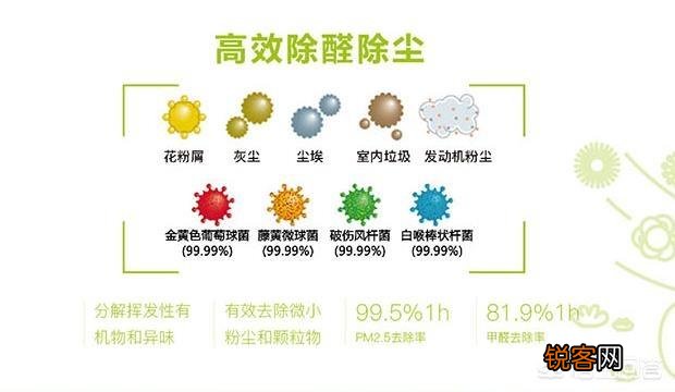 车载空气净化器真的可以除新车甲醛吗？哪个好用点？