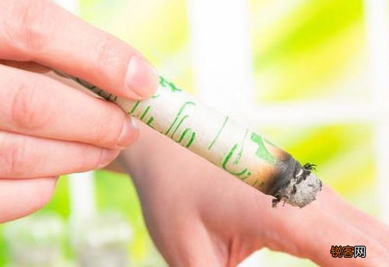 三伏天艾灸灸哪里最好