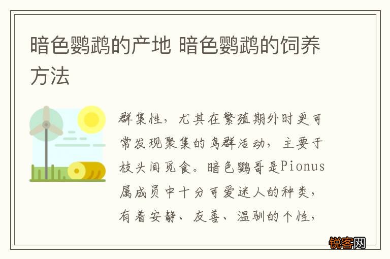 暗色鹦鹉的产地 暗色鹦鹉的饲养方法