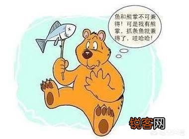 事业中有时会遇到“鱼与熊掌不能兼得”的情况,该如何做出取舍呢？