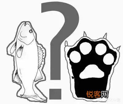 事业中有时会遇到“鱼与熊掌不能兼得”的情况,该如何做出取舍呢？