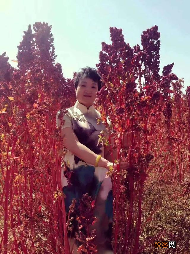 大家是否有过在某一个瞬间感觉到眼前陌生的一切却好像经历过一样,特别熟悉？穿越过？