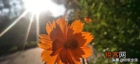 大家是否有过在某一个瞬间感觉到眼前陌生的一切却好像经历过一样,特别熟悉？穿越过？