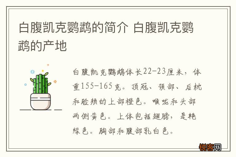 白腹凯克鹦鹉的简介 白腹凯克鹦鹉的产地