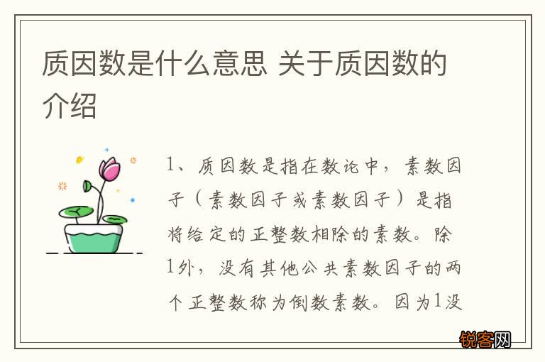 质因数是什么意思 关于质因数的介绍