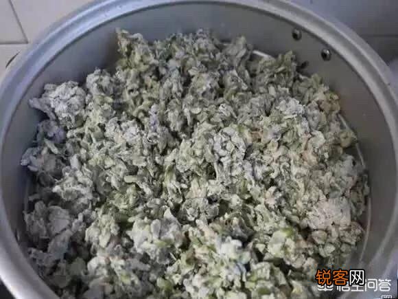 榆树的花可以食用吗？怎么做？