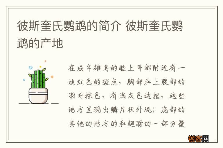 彼斯奎氏鹦鹉的简介 彼斯奎氏鹦鹉的产地