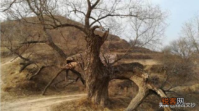 诸葛亮的恩师是何方神仙？