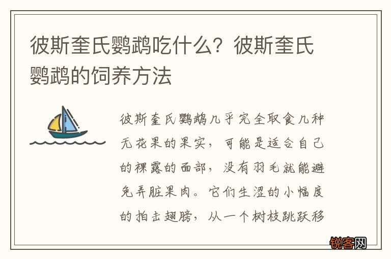 彼斯奎氏鹦鹉吃什么？彼斯奎氏鹦鹉的饲养方法
