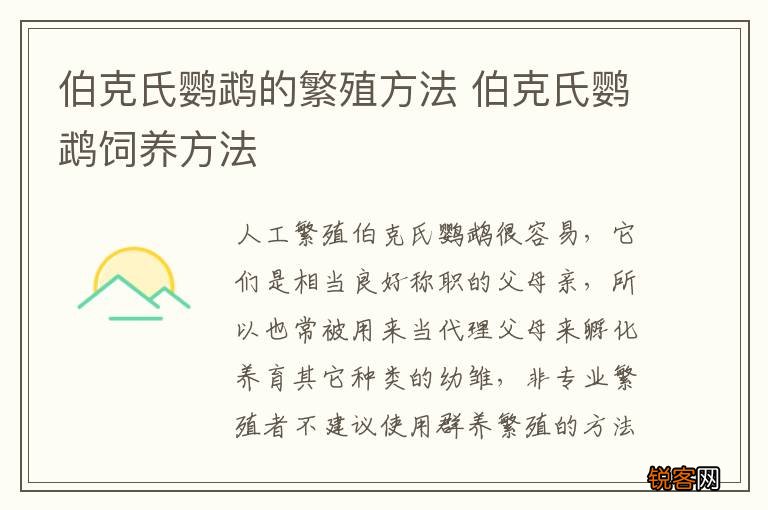 伯克氏鹦鹉的繁殖方法 伯克氏鹦鹉饲养方法