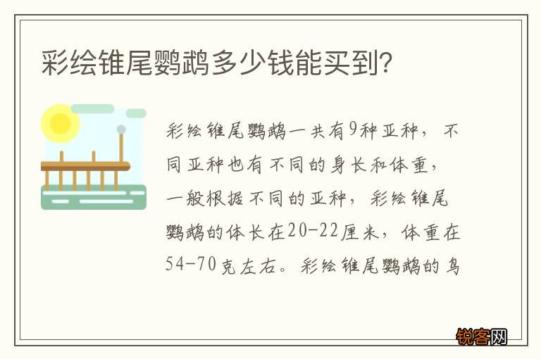 彩绘锥尾鹦鹉多少钱能买到？