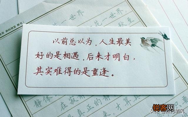 有哪些温柔、干净、可爱的句子？