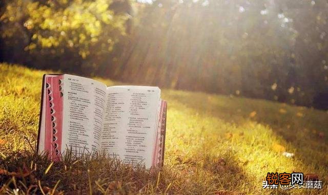 有没有又短又扣动人心的个性签名推荐？