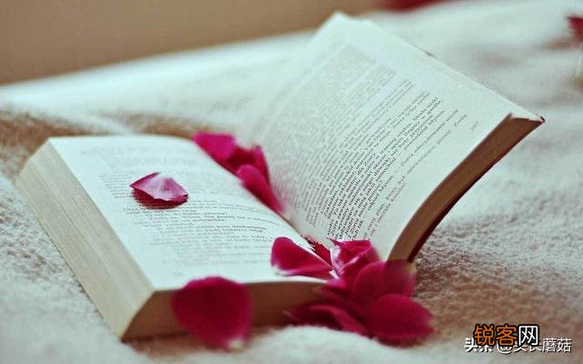 有没有又短又扣动人心的个性签名推荐？