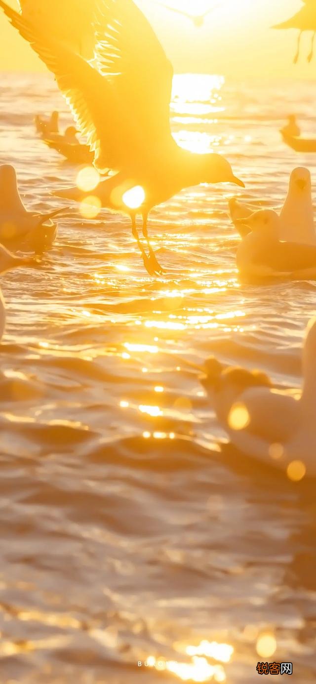 有什么好看又好听的个性签名可以推荐呢？