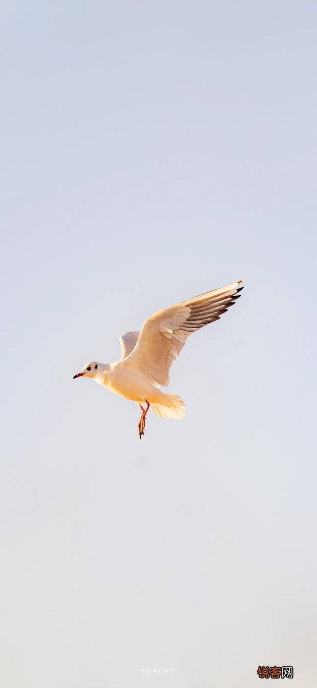 有什么好看又好听的个性签名可以推荐呢？