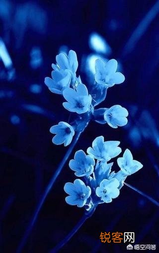 走心 有哪些你很喜欢的个性签名的句子,一人一句一情话？