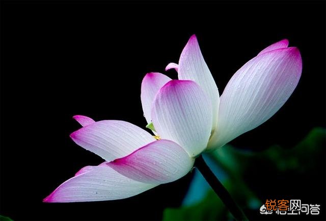 走心 有哪些你很喜欢的个性签名的句子,一人一句一情话？