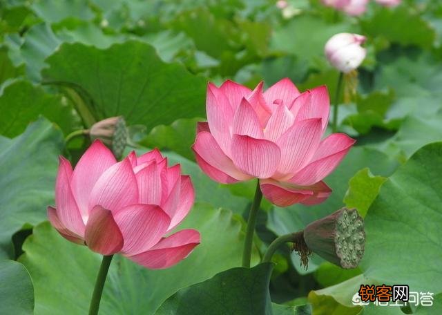 走心 有哪些你很喜欢的个性签名的句子,一人一句一情话？