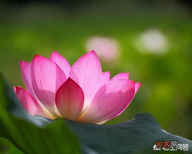 走心 有哪些你很喜欢的个性签名的句子,一人一句一情话？