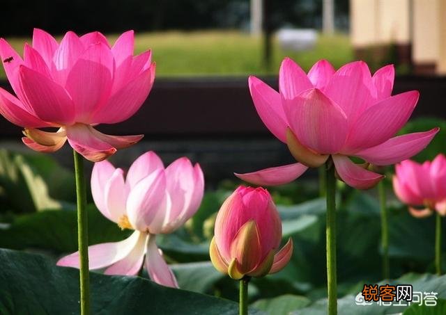 走心 有哪些你很喜欢的个性签名的句子,一人一句一情话？