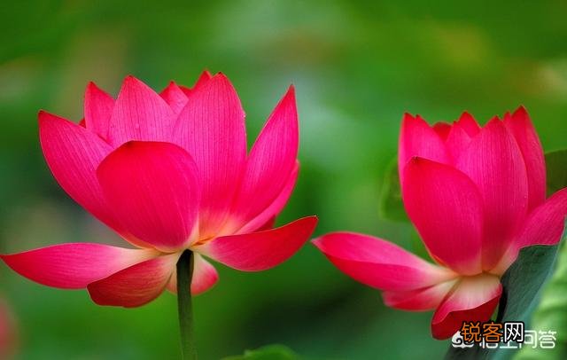 走心 有哪些你很喜欢的个性签名的句子,一人一句一情话？