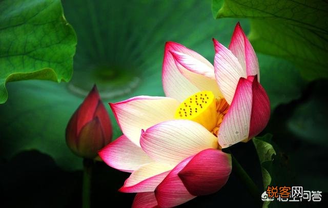 走心 有哪些你很喜欢的个性签名的句子,一人一句一情话？