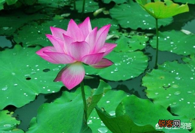 走心 有哪些你很喜欢的个性签名的句子,一人一句一情话？