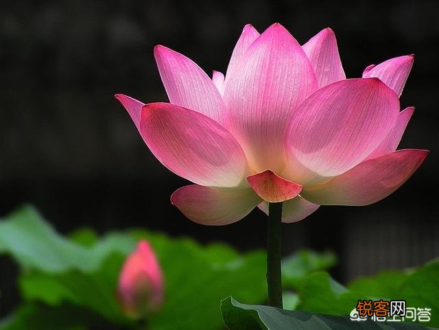 走心 有哪些你很喜欢的个性签名的句子,一人一句一情话？