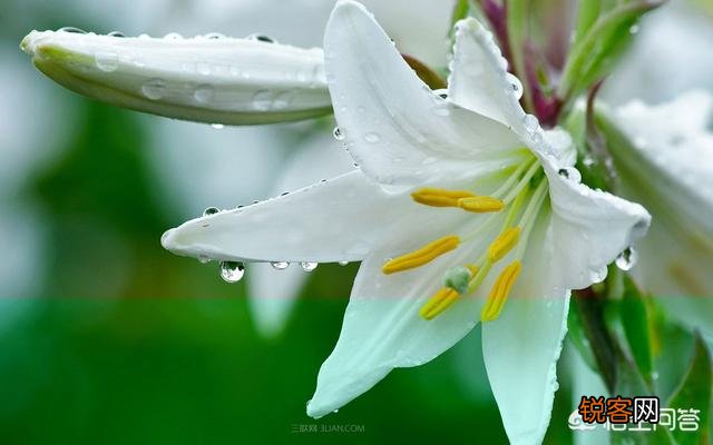 走心 有哪些你很喜欢的个性签名的句子,一人一句一情话？