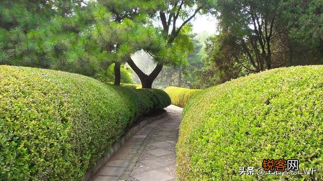大家都有什么正能量的句子？