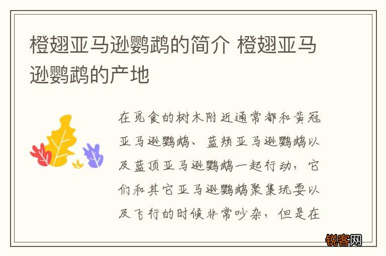 橙翅亚马逊鹦鹉的简介 橙翅亚马逊鹦鹉的产地