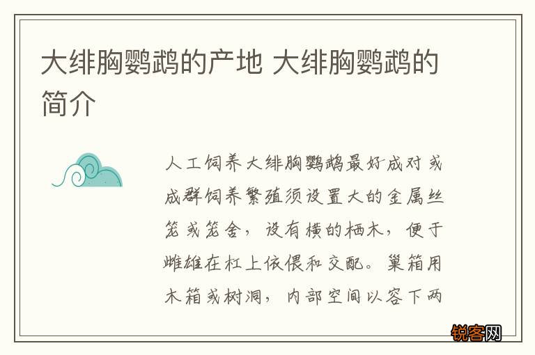 大绯胸鹦鹉的产地 大绯胸鹦鹉的简介