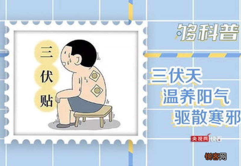 为什么三伏天调理身体好得快