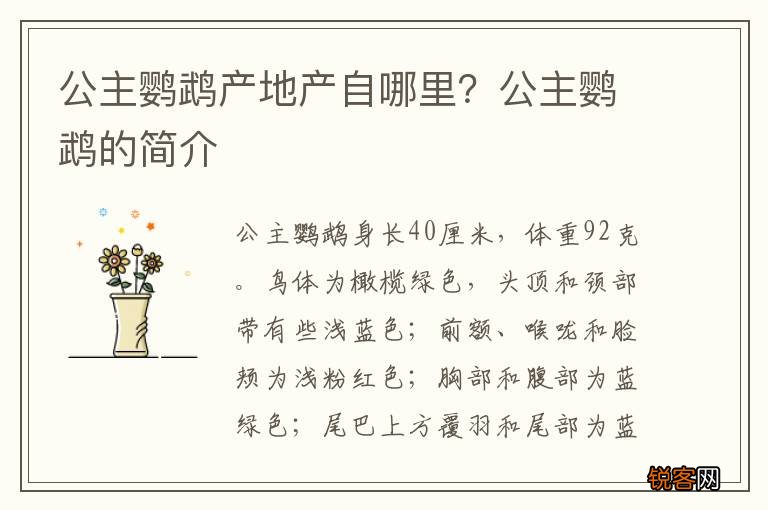 公主鹦鹉产地产自哪里？公主鹦鹉的简介