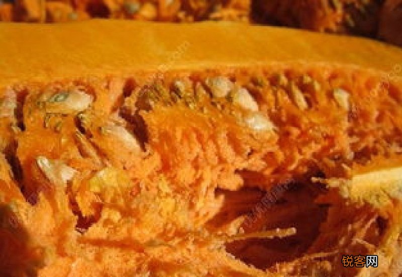 南瓜瓤吃了会拉肚子吗