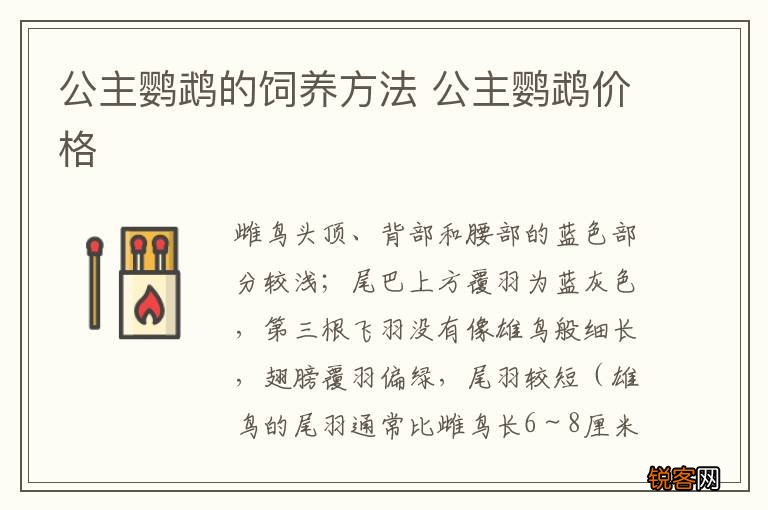 公主鹦鹉的饲养方法 公主鹦鹉价格