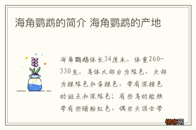 海角鹦鹉的简介 海角鹦鹉的产地