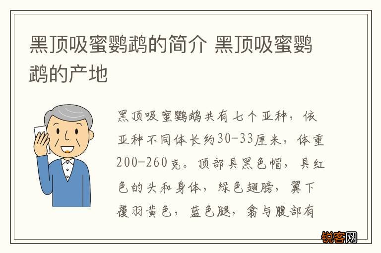黑顶吸蜜鹦鹉的简介 黑顶吸蜜鹦鹉的产地