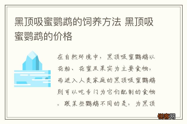 黑顶吸蜜鹦鹉的饲养方法 黑顶吸蜜鹦鹉的价格