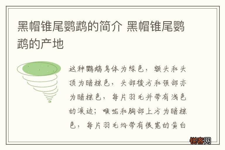 黑帽锥尾鹦鹉的简介 黑帽锥尾鹦鹉的产地
