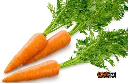 学生最补眼睛的几种食物推荐 补眼睛最好的食物