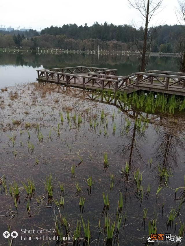 李寻欢和郭嵩阳VS上官金虹和荆无命,两个组合谁赢？