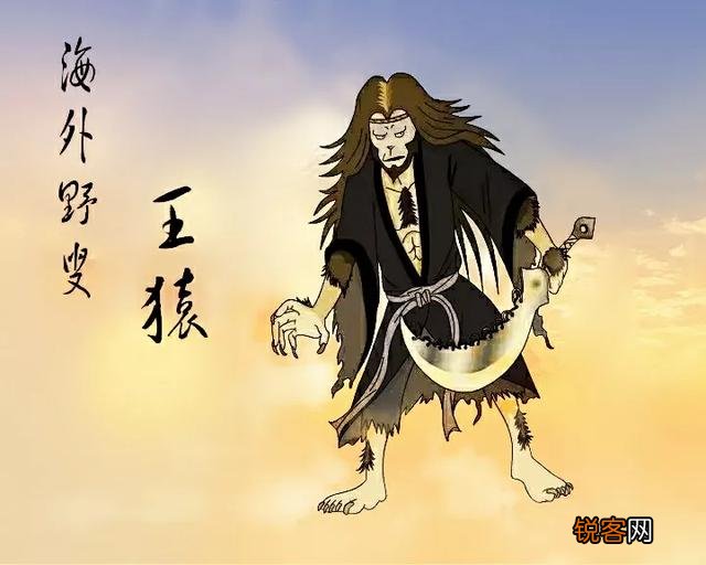 《白眉大侠》中的八王擂具体是怎么一回事,都有谁登台亮相了？